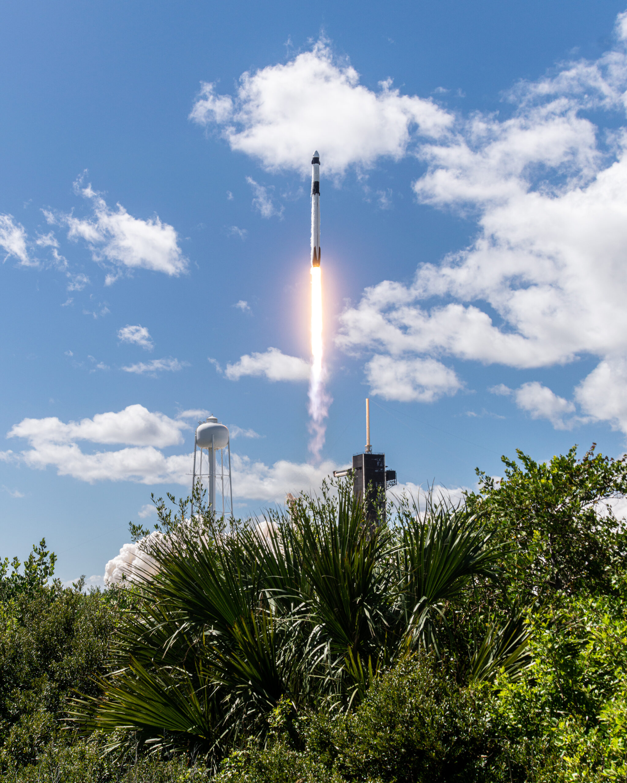 A remote camera view of Falcon 9 clearing the pad with some Florida foliage in the foreground