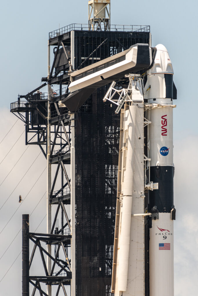 Dragon Endurance sits atop of its Falcon 9 rocket, Booster 1081 is making flying its first mission. A bird is see flying near the rocket at LC-39A. Photo Credit: John Pisani for Cosmic Perspective.